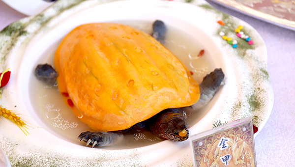 ��⿼��ܴ�����Ʒչ