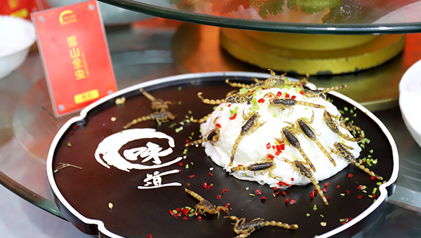 ��⿼��ܴ�����Ʒչ