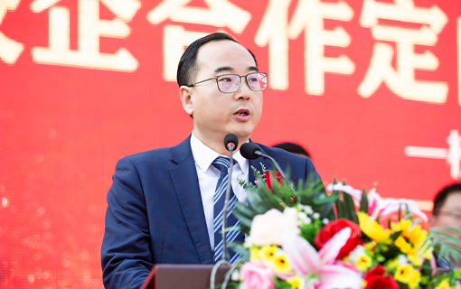 ������ʽ