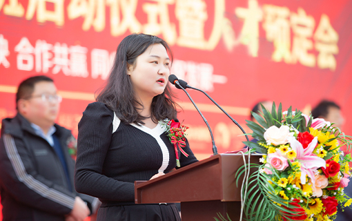 ������ʽ