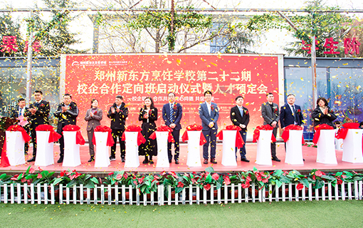 ������ʽ